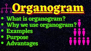 What is Organogram  Complete explanation [upl. by Leumhs]