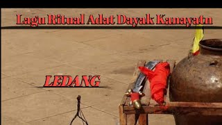 Ledang lagu ritual adat dayak [upl. by Ornas]