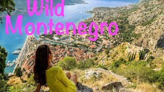 Montenegro Travel Highlights [upl. by Jyoti]