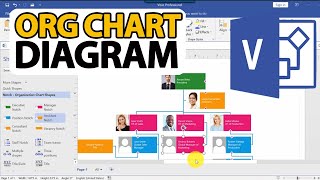 How To Draw Visio Org Chart Diagram Step by Step Tutorial [upl. by Malissia]