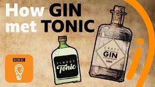 The hidden history of gin and tonic  Edible Histories Episode 1  BBC Ideas [upl. by Suivatnom]