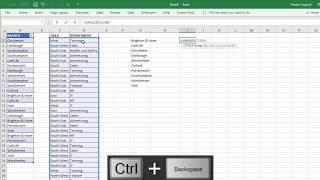 Remove Duplicates in Excel Featuring the New UNIQUE amp SORT Functions [upl. by Nosydam770]