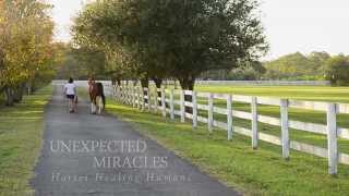 Unexpected Miracles  Horses Healing Humans [upl. by Novak]