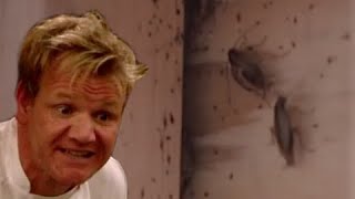 The Absolute Dirtiest Kitchen on Kitchen Nightmares and the Lawsuit that resulted from it [upl. by Acihsay]