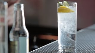 How to Make the Gin amp Tonic  Liquorcom [upl. by Remo]