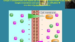 Biophysique A11  équilibre de Donnan [upl. by Yatnuahc]